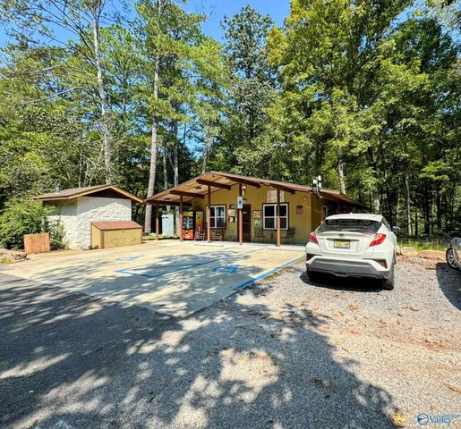 532 County Road 152, Section, AL 35771