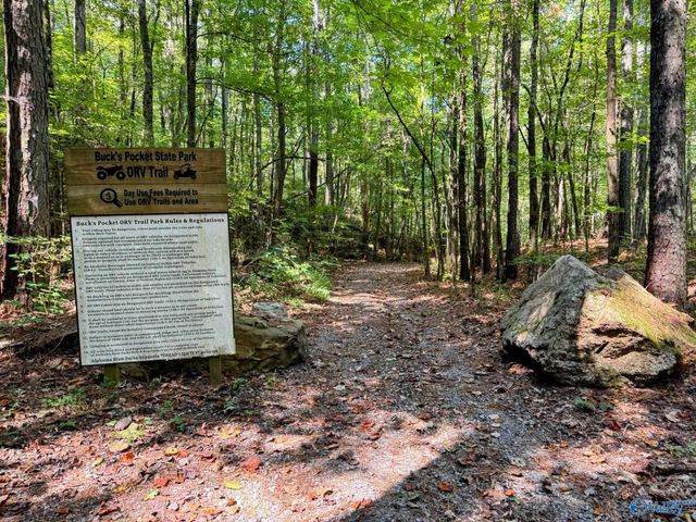 532 County Road 152, Section, AL 35771