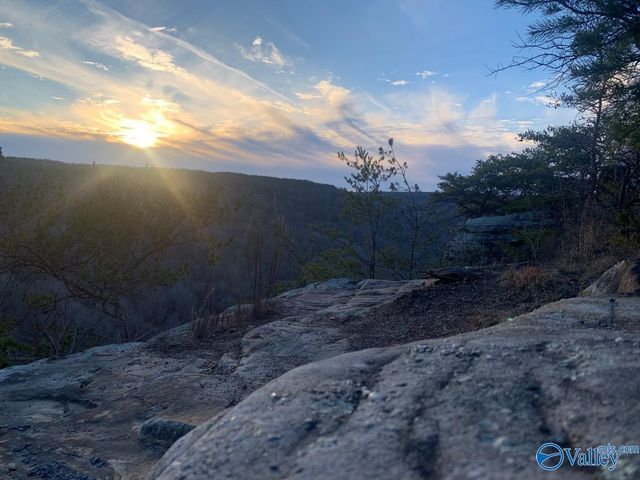 532 County Road 152, Section, AL 35771