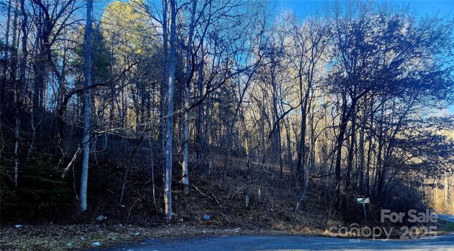 0001 Lyle Wilson Road, Cullowhee, NC 28723