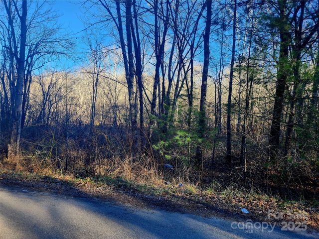 0001 Lyle Wilson Road, Cullowhee, NC 28723