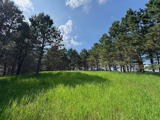 75a Hines Road NE, Hines Twp, MN 56647