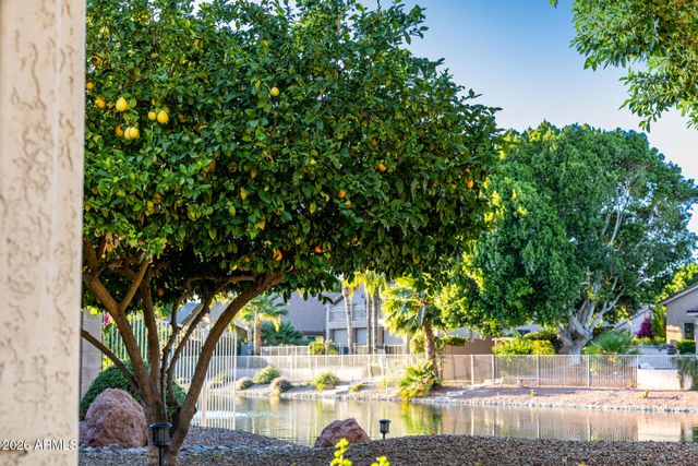 7034 W ROSE GARDEN Lane, Glendale, AZ 85308