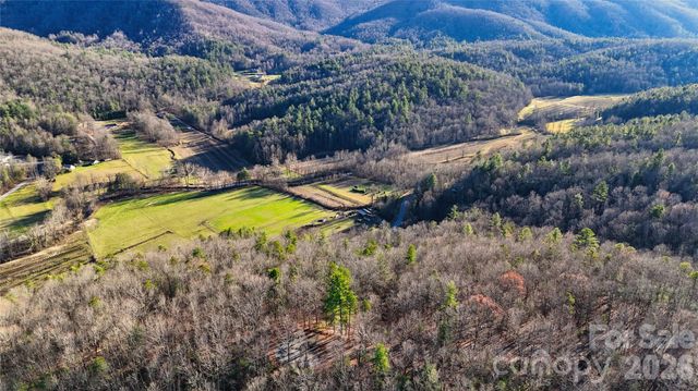 130 Brown Bear Ridge Trail 17, Zirconia, NC 28790