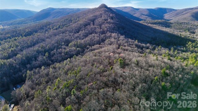 130 Brown Bear Ridge Trail 17, Zirconia, NC 28790