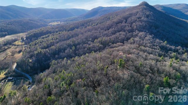 130 Brown Bear Ridge Trail 17, Zirconia, NC 28790