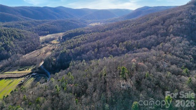 130 Brown Bear Ridge Trail 17, Zirconia, NC 28790