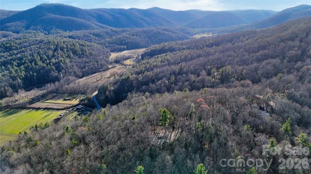 130 Brown Bear Ridge Trail 17, Zirconia, NC 28790