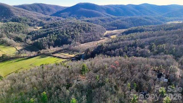 130 Brown Bear Ridge Trail 17, Zirconia, NC 28790