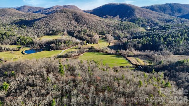 130 Brown Bear Ridge Trail 17, Zirconia, NC 28790
