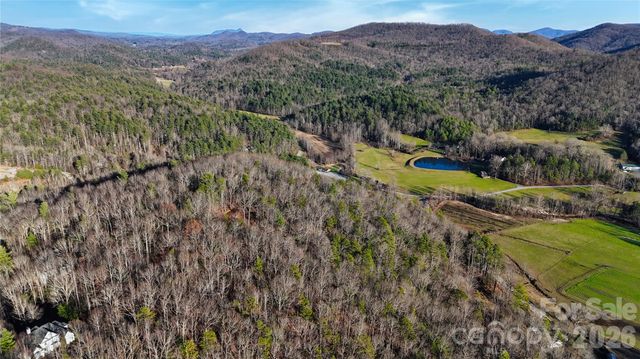 130 Brown Bear Ridge Trail 17, Zirconia, NC 28790