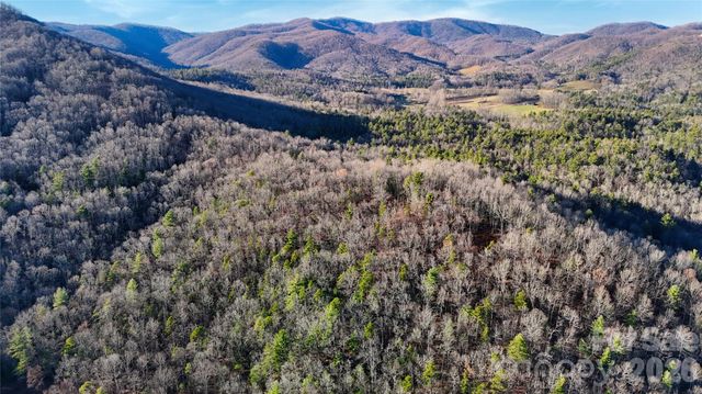 130 Brown Bear Ridge Trail 17, Zirconia, NC 28790