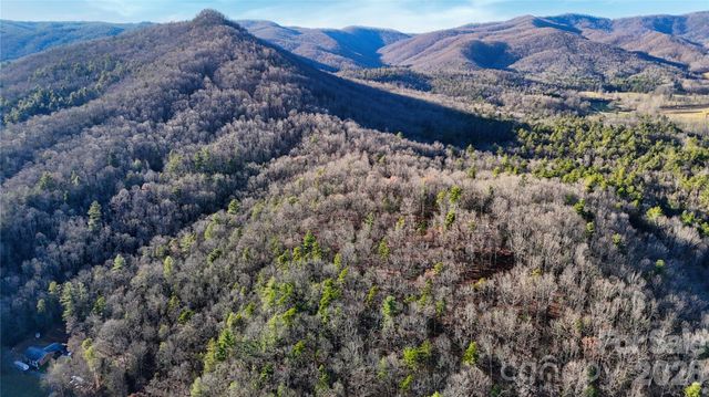 130 Brown Bear Ridge Trail 17, Zirconia, NC 28790