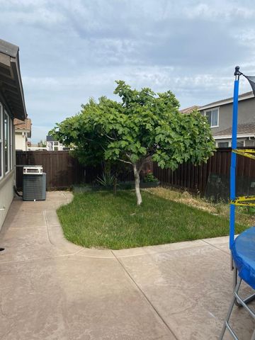 1878 Plumas Drive, Lathrop, CA 95330