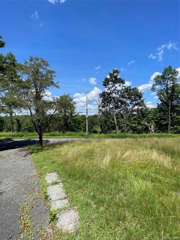 113 Town Rd 113, Fallsburg, NY 12733