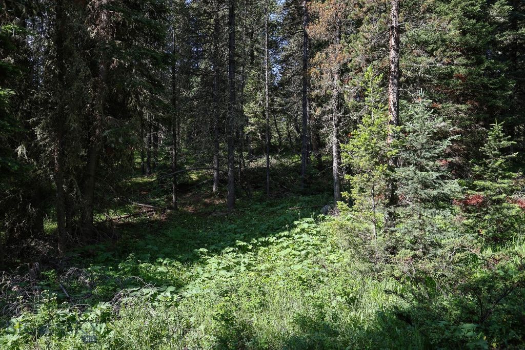 tbd Crown Butte - SPMC Ranch Lot 89, Big Sky, MT 59716 photo 10