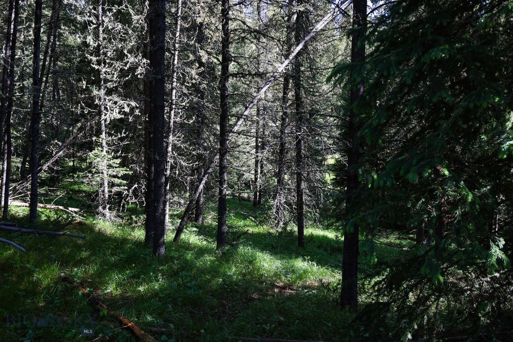 tbd Crown Butte - SPMC Ranch Lot 89, Big Sky, MT 59716 photo 11