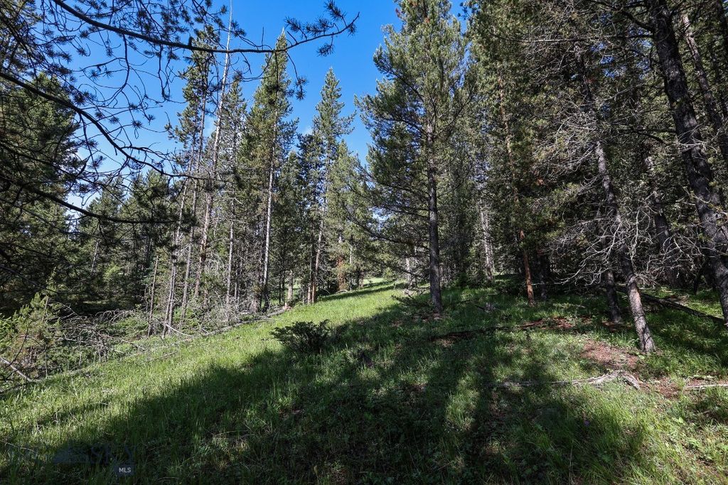 tbd Crown Butte - SPMC Ranch Lot 89, Big Sky, MT 59716 photo 12