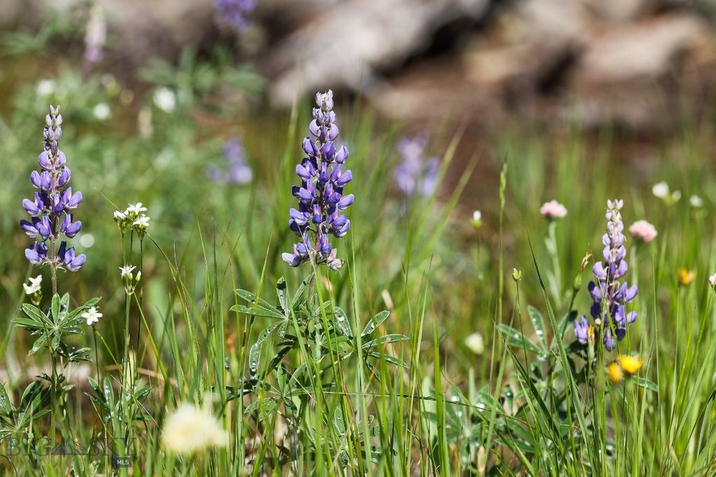 tbd Crown Butte - SPMC Ranch Lot 89, Big Sky, MT 59716 photo 13