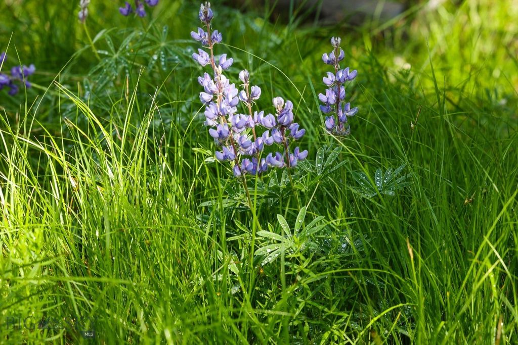 tbd Crown Butte - SPMC Ranch Lot 89, Big Sky, MT 59716 photo 14