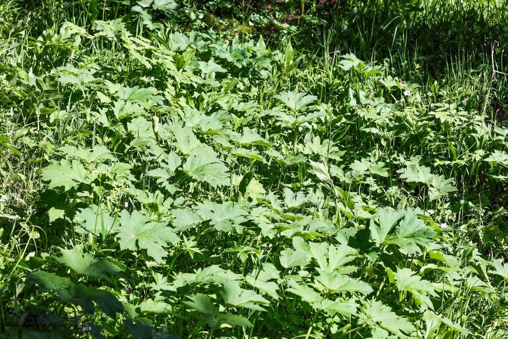 tbd Crown Butte - SPMC Ranch Lot 89, Big Sky, MT 59716 photo 15