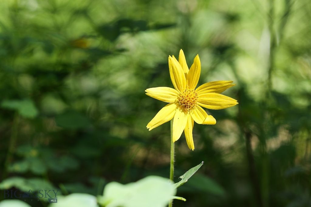 tbd Crown Butte - SPMC Ranch Lot 89, Big Sky, MT 59716 photo 16