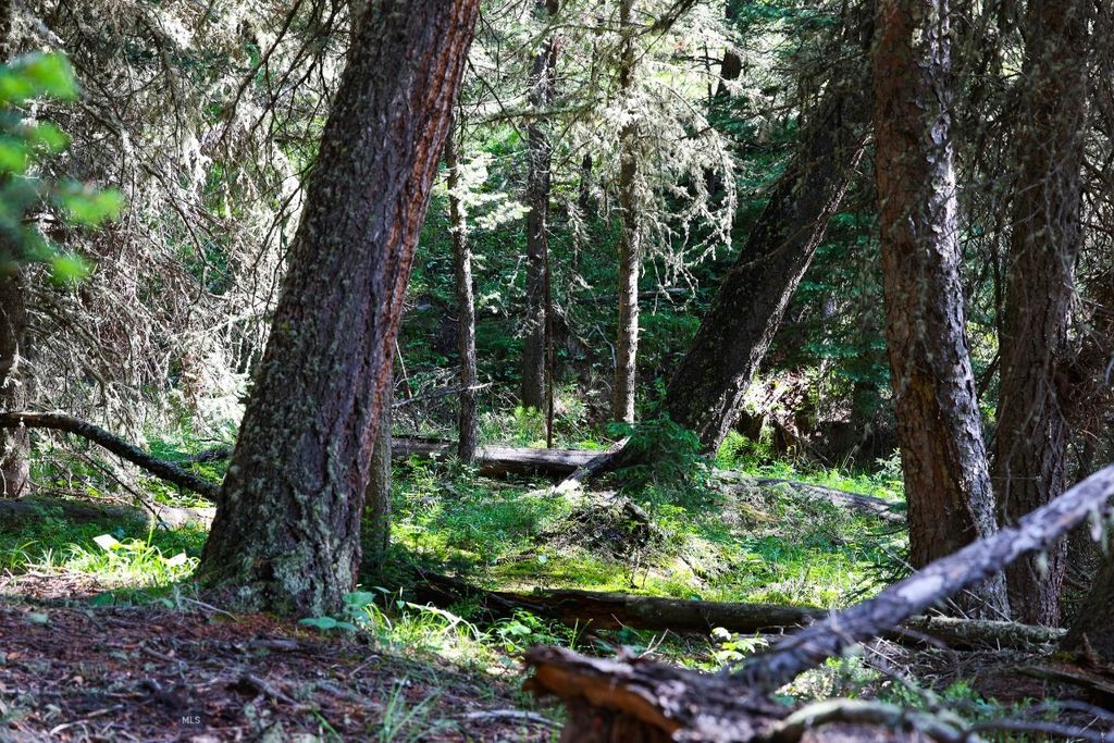 tbd Crown Butte - SPMC Ranch Lot 89, Big Sky, MT 59716 photo 17