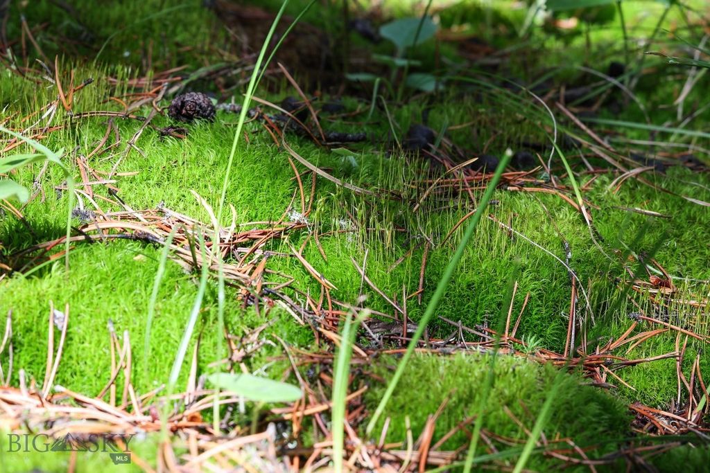 tbd Crown Butte - SPMC Ranch Lot 89, Big Sky, MT 59716 photo 18