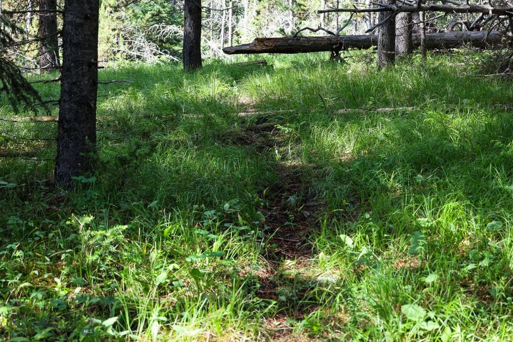 tbd Crown Butte - SPMC Ranch Lot 89, Big Sky, MT 59716 photo 19