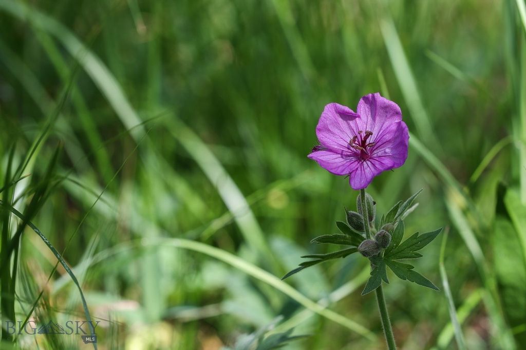 tbd Crown Butte - SPMC Ranch Lot 89, Big Sky, MT 59716 photo 20