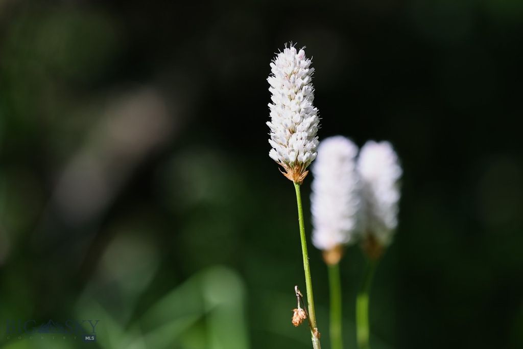 tbd Crown Butte - SPMC Ranch Lot 89, Big Sky, MT 59716 photo 21