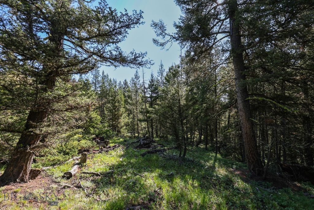 tbd Crown Butte - SPMC Ranch Lot 89, Big Sky, MT 59716 photo 5