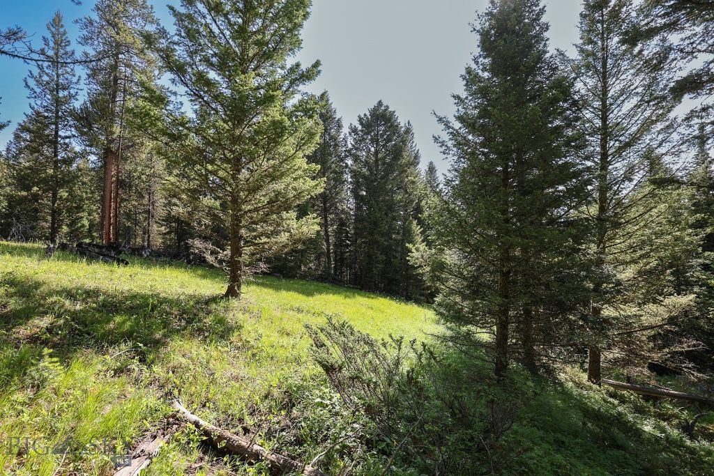 tbd Crown Butte - SPMC Ranch Lot 89, Big Sky, MT 59716 photo 6