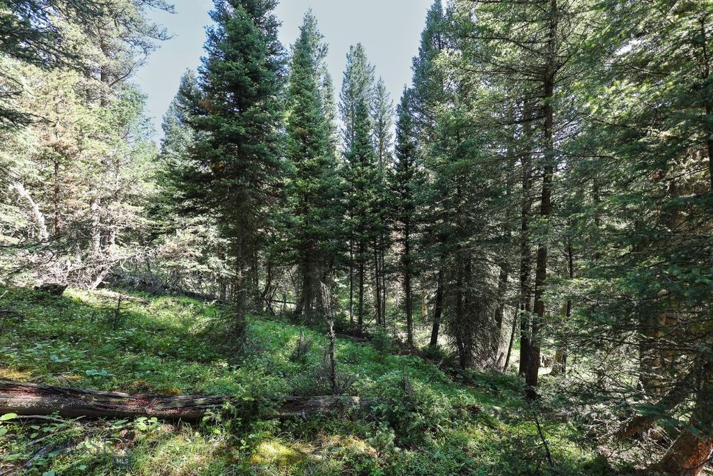 tbd Crown Butte - SPMC Ranch Lot 89, Big Sky, MT 59716 photo 8