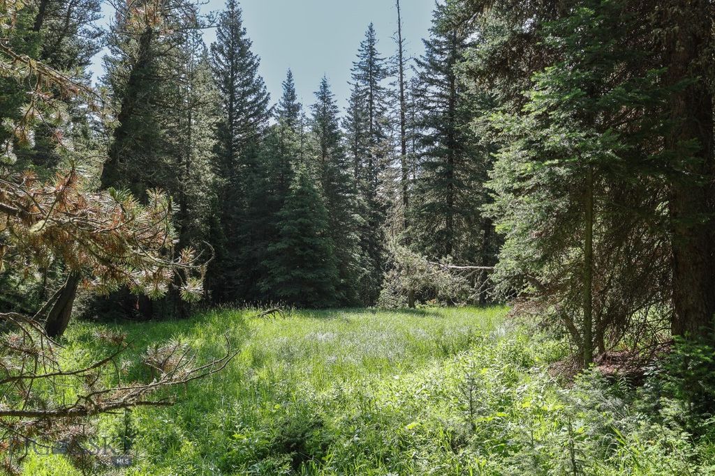 tbd Crown Butte - SPMC Ranch Lot 89, Big Sky, MT 59716 photo 9