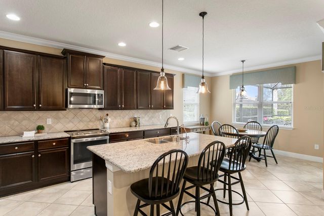 19406 BUTTERWOOD LANE, Lutz, FL 33558