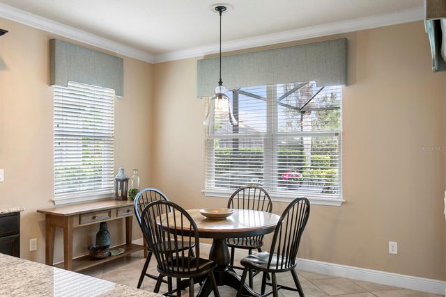 19406 BUTTERWOOD LANE, Lutz, FL 33558