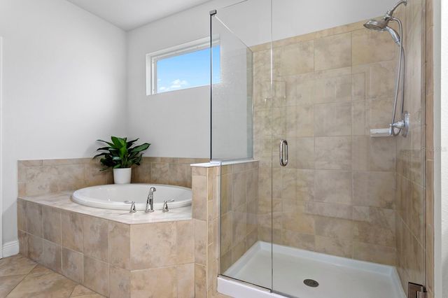 19406 BUTTERWOOD LANE, Lutz, FL 33558