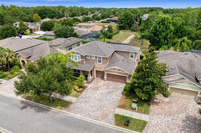 19406 BUTTERWOOD LANE, Lutz, FL 33558