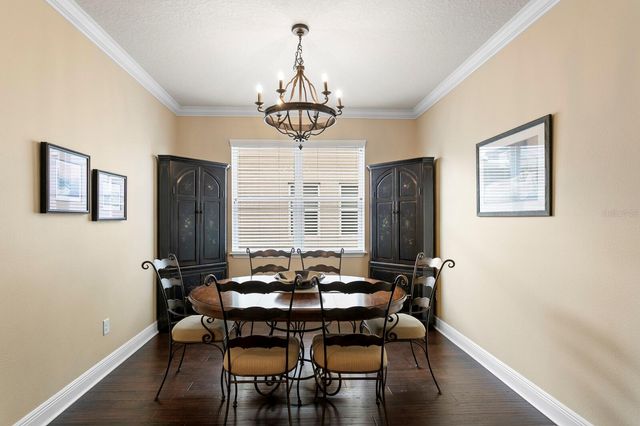 19406 BUTTERWOOD LANE, Lutz, FL 33558