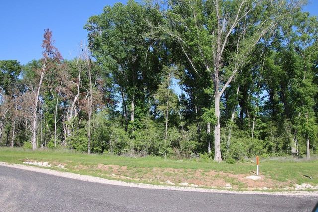 000 Clear Woods Court N, Washington, TX 77880