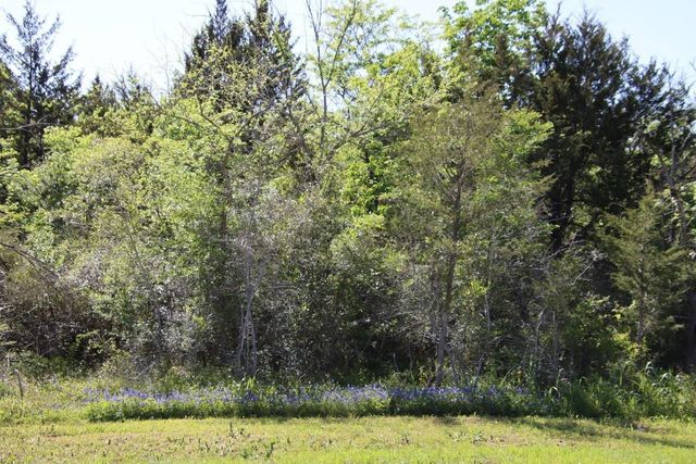 000 Clear Woods Court N, Washington, TX 77880