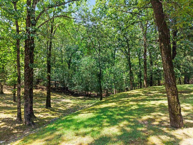 185 Hillside Place, Hot Springs, AR 71901