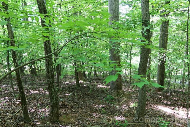 7 Hallaran Drive PT 3, Marshall, NC 28753
