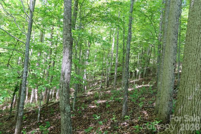 7 Hallaran Drive PT 3, Marshall, NC 28753