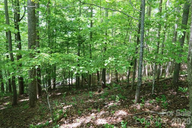 7 Hallaran Drive PT 3, Marshall, NC 28753