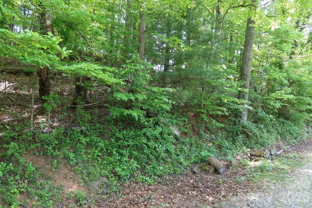 7 Hallaran Drive PT 3, Marshall, NC 28753