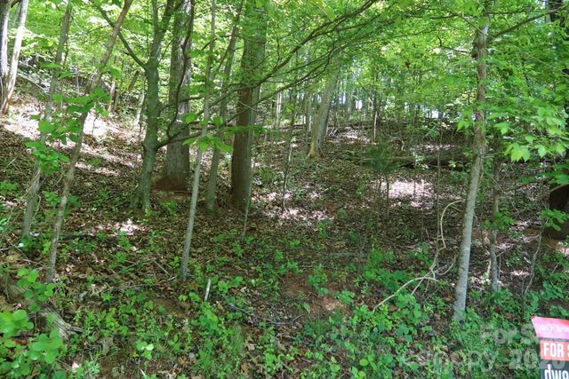 7 Hallaran Drive PT 3, Marshall, NC 28753