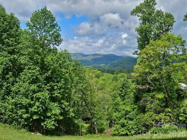 7 Hallaran Drive PT 3, Marshall, NC 28753