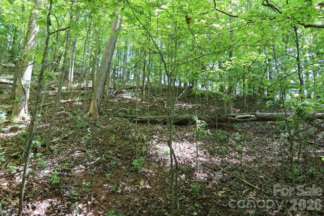 7 Hallaran Drive PT 3, Marshall, NC 28753
